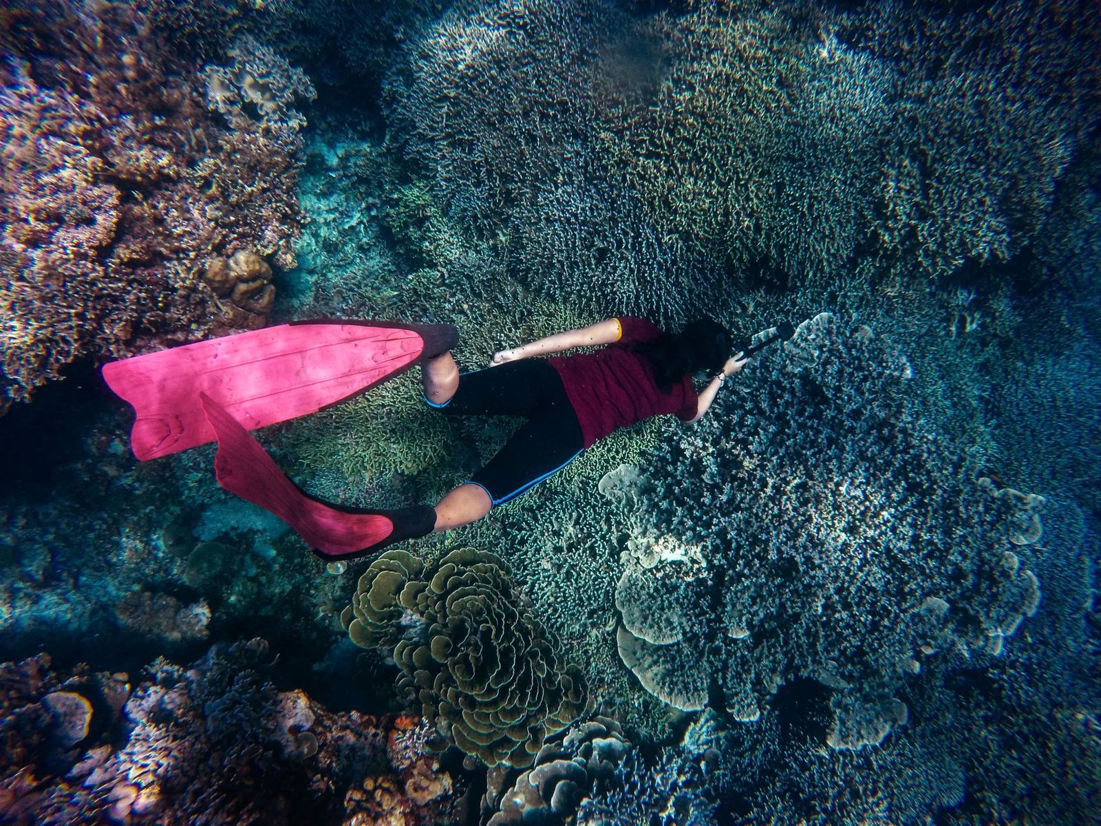 Freediver in the blue